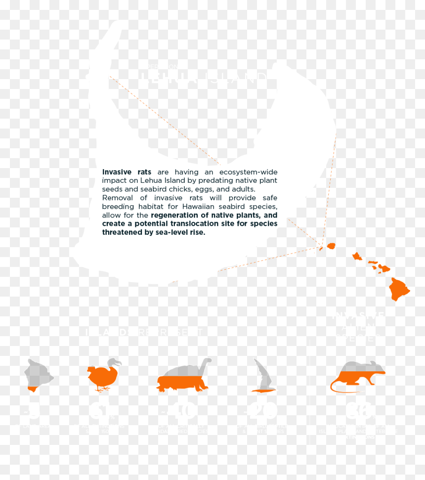 Hawaii Pop Art Map 2, HD Png Download - hawaiian islands png