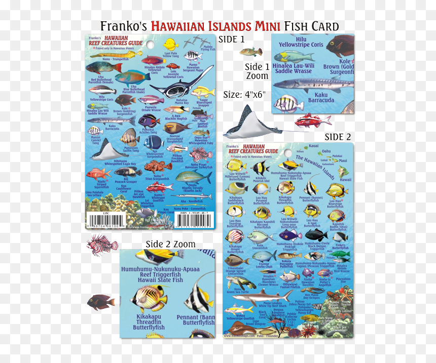 Fish Of Oahu Hawaii, HD Png Download - hawaiian islands png