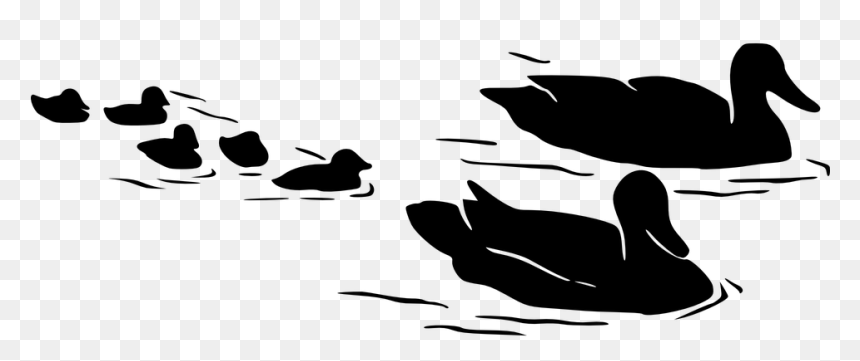Duck On Water Silhouette, HD Png Download - baby duck png