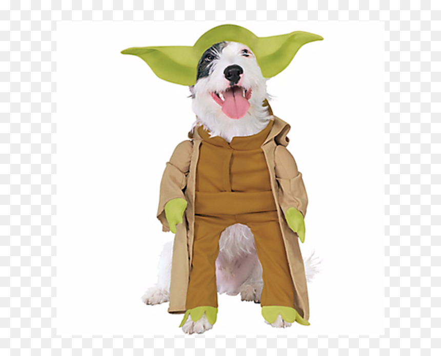 Star Wars Costumes, HD Png Download - halloween costume png