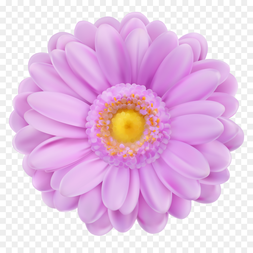 Transparent Background Flower Png, Png Download - lavender flowers png