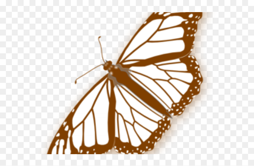 Monarch Butterfly Line Drawing, HD Png Download - monarch png
