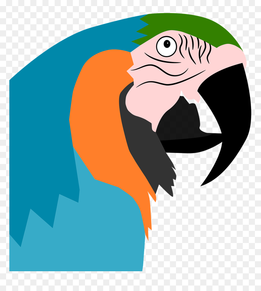 Parrot Clipart Wild Bird - Parrot, HD Png Download - parrot logo png