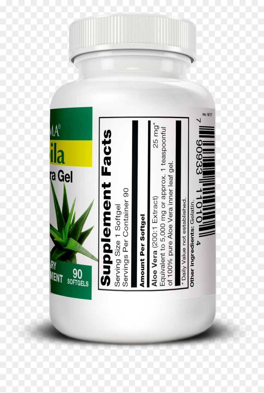 Saw Palmetto, HD Png Download - sabila png