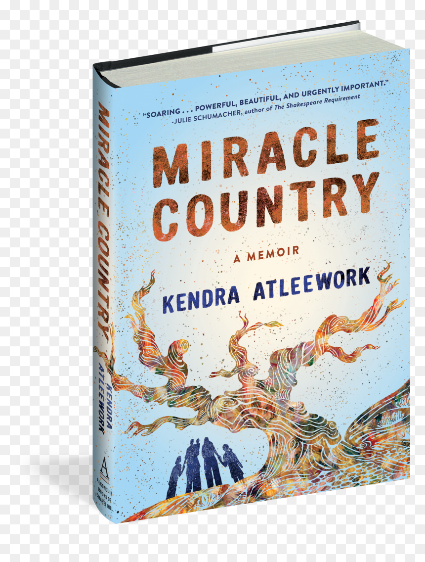 Cover - Book Cover, HD Png Download - mercy wings png
