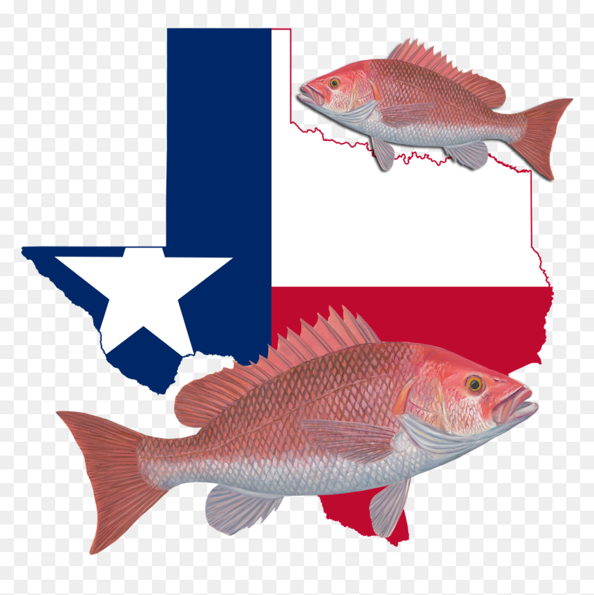 Clip Art Texas Flag Texas Shape, HD Png Download - red snapper png