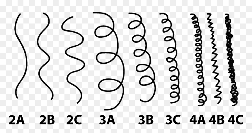 Tipos De Cachos, HD Png Download - cachos png