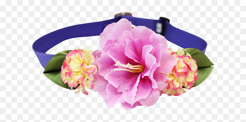 Common Peony, HD Png Download - flower headpiece png