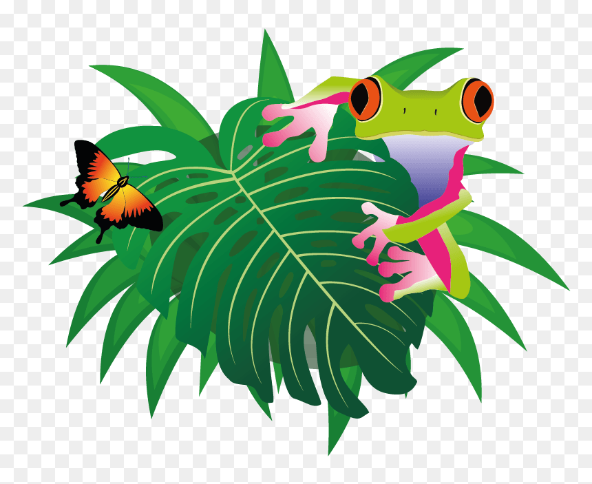 The Jungle Soft Play - Cartoon, HD Png Download - jungle frame png