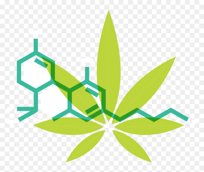 What Is Cannabis - Cannabidiol, HD Png Download - weed vector png