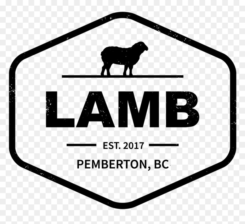 Lamb Graphic Outlined K - F Stecker Montieren, HD Png Download - k.png