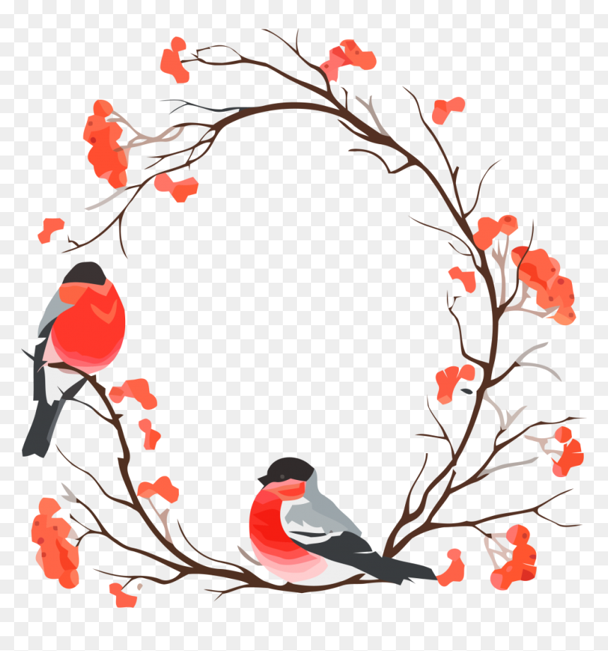 Christmas Flower Illustration, HD Png Download - blueberry clipart png