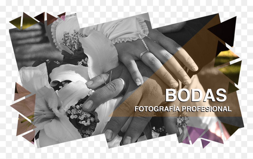 Duvet, HD Png Download - toga y birrete png