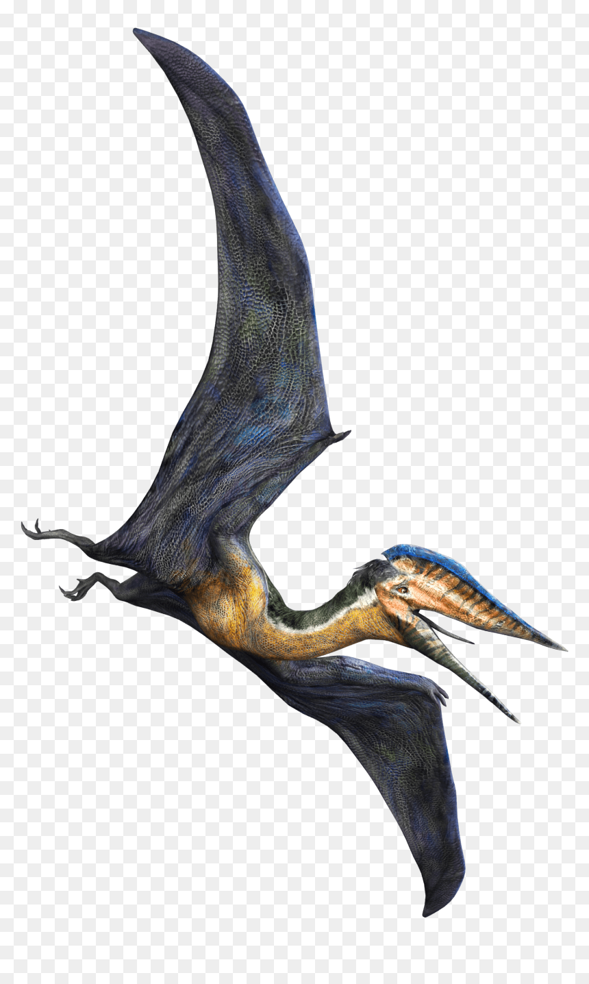 Jurassic World Alive Hatzegopteryx, HD Png Download - flying dinosaur png