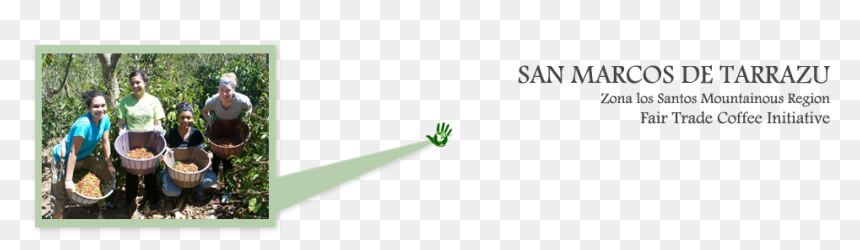 Grass, HD Png Download - marco de foto png
