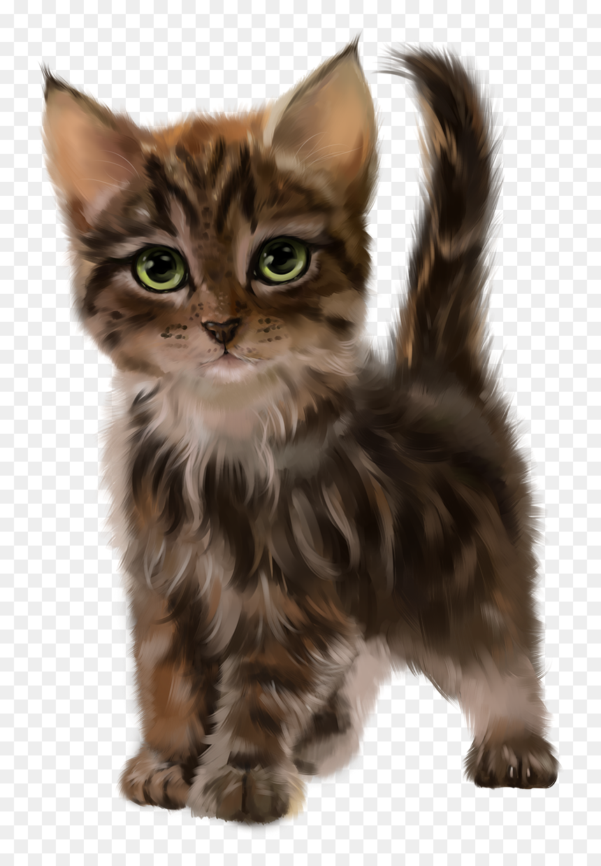 Cat, HD Png Download - perros y gatos png