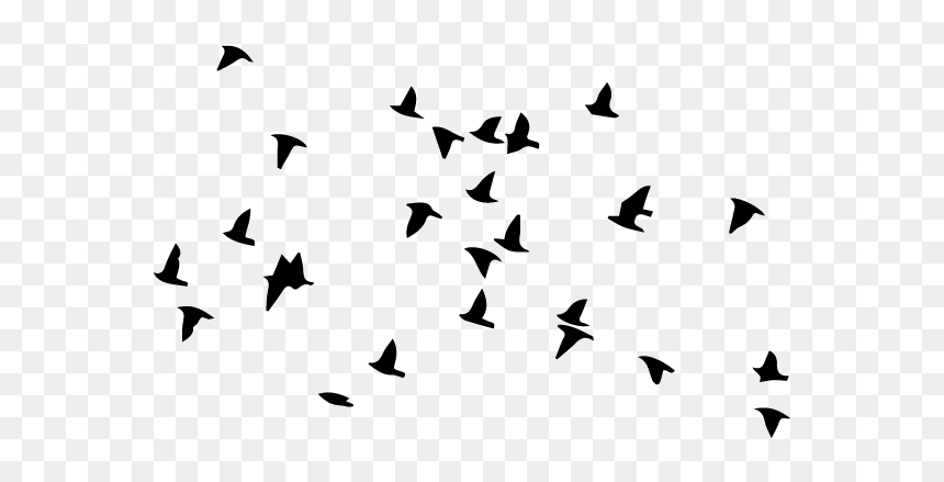 Bird Flight Flock Wall Decal Clip Art - Oiseaux En Vol Dessin, HD Png Download - flock of doves png