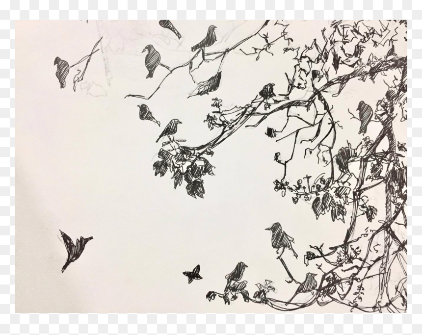 Flock, HD Png Download - flock of doves png