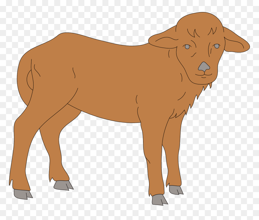 Clip Art, HD Png Download - baby animal png