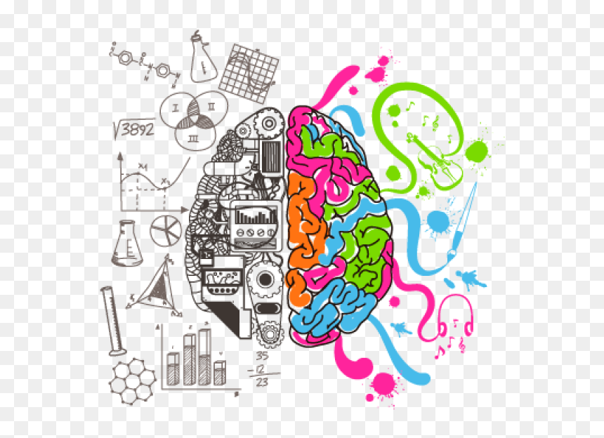 Intelligent Brain Png Image - Left Right Brain Png, Transparent Png - brain graphic png