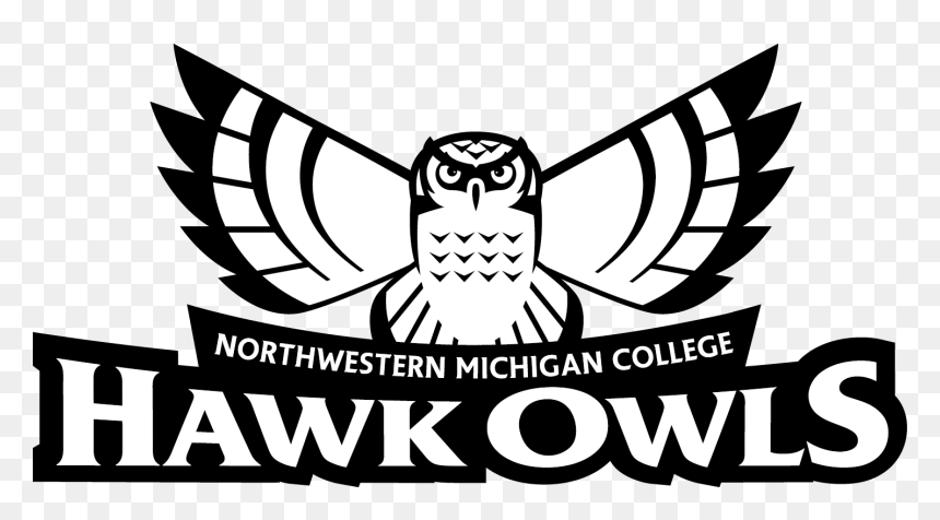 Nmc Hawk Owl Logo, HD Png Download - owl .png