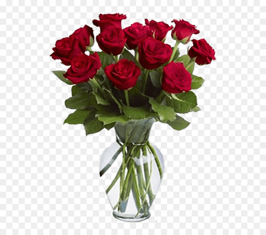 A Warm Smile - Dozen Roses, HD Png Download - flower pots png