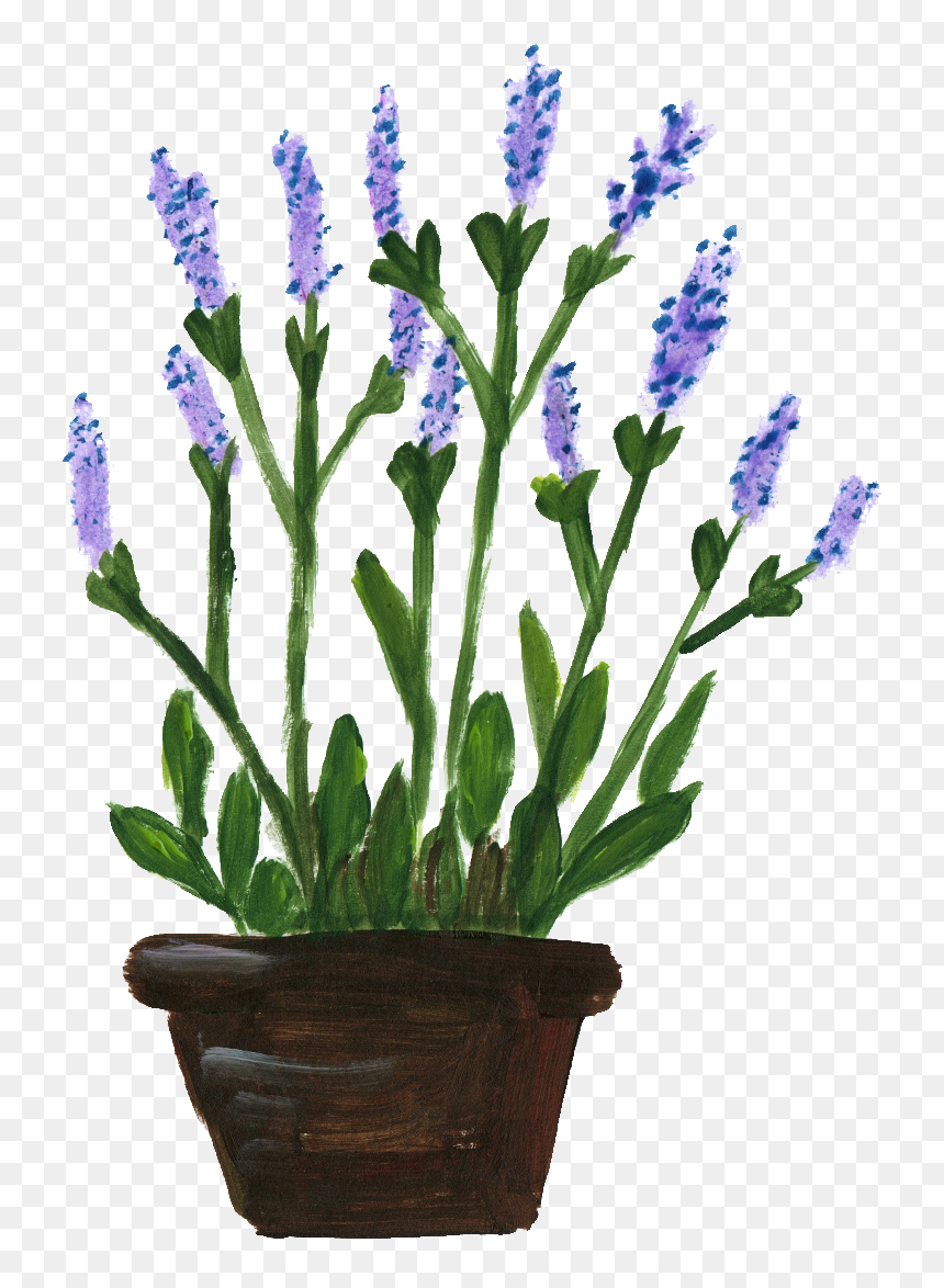 Flower Pots With Flowers Png Potted Flower Png - Lavender Plants Transparent Background, Png Download - flower pots png
