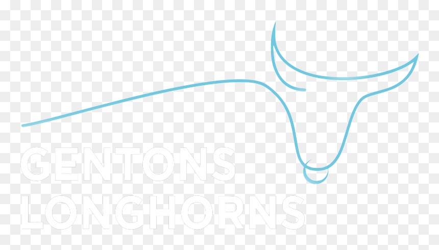 Graphic Design, HD Png Download - longhorns logo png