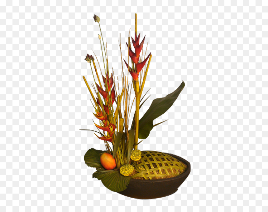 Heliconia, HD Png Download - heliconia png