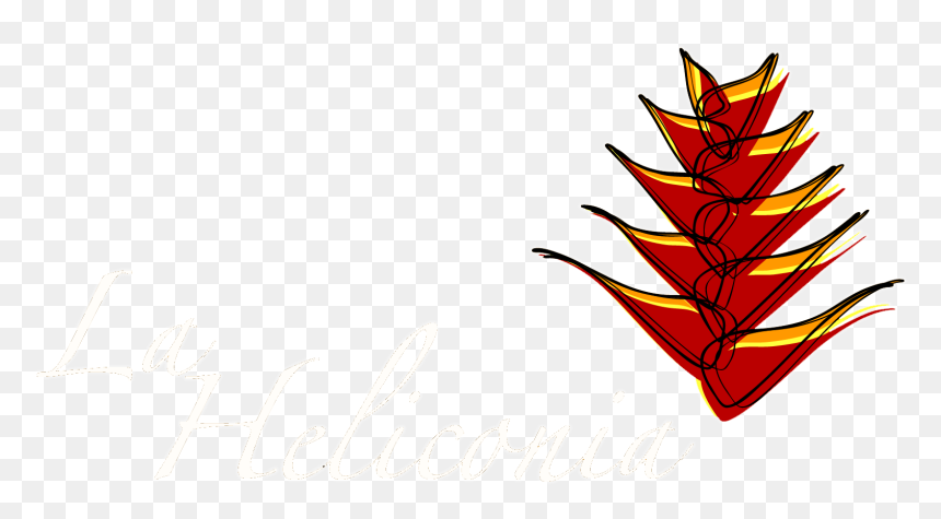 Illustration, HD Png Download - heliconia png