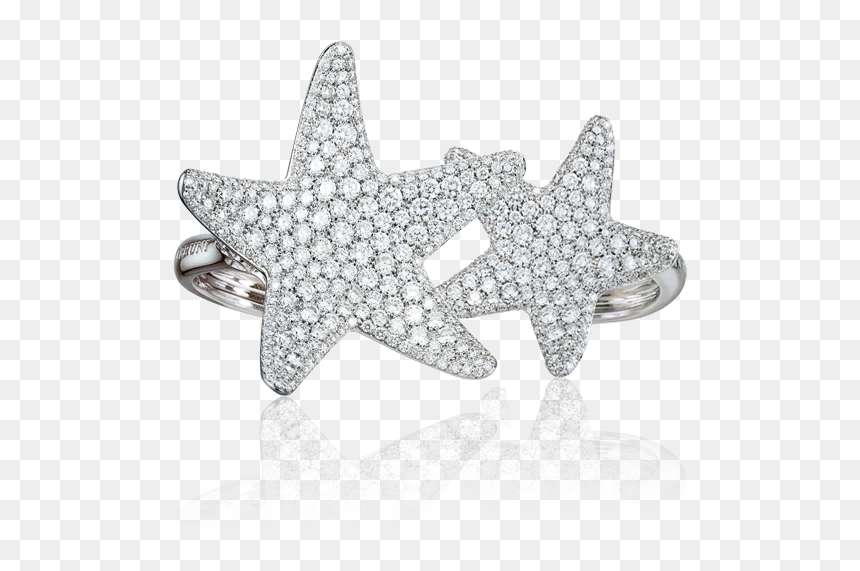 Pasquale Bruni, HD Png Download - bling star png