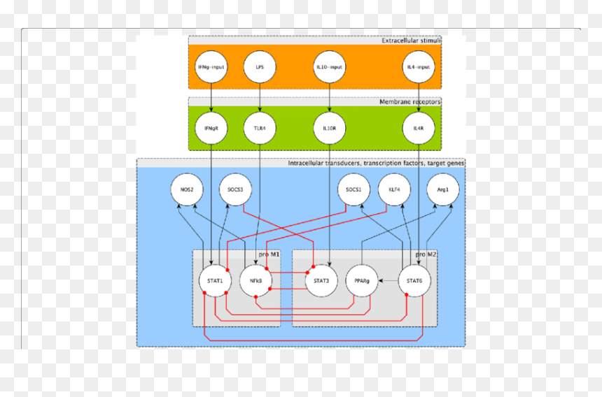 Diagram, HD Png Download - minimalistic png