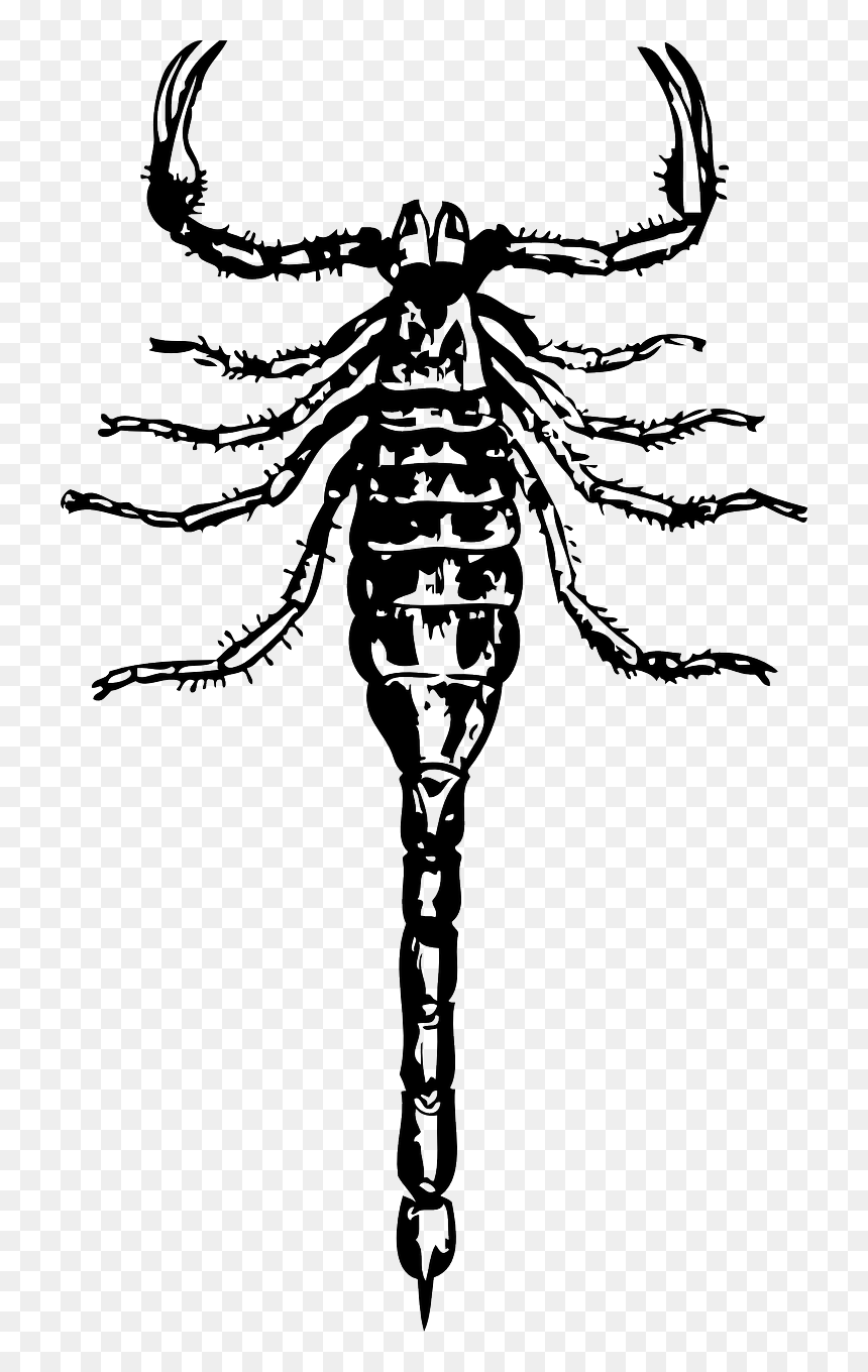 Clip Art, HD Png Download - dangerous png