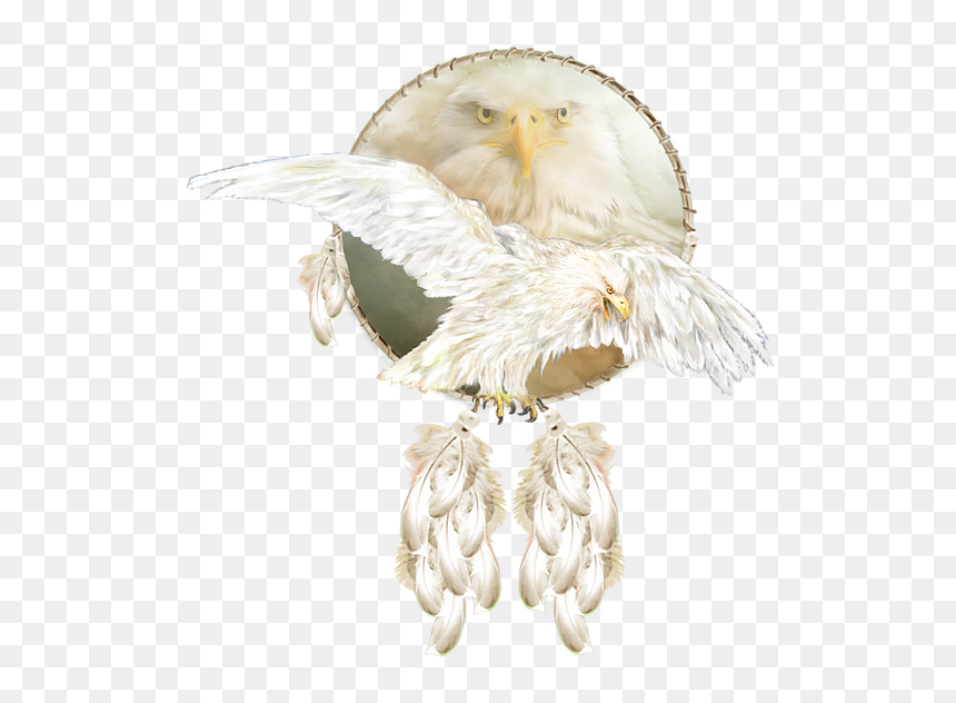 Bald Eagle, HD Png Download - white eagle png