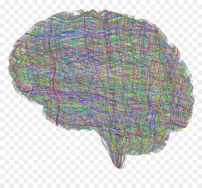 Diagram On Mental Well Being, HD Png Download - psicologia png