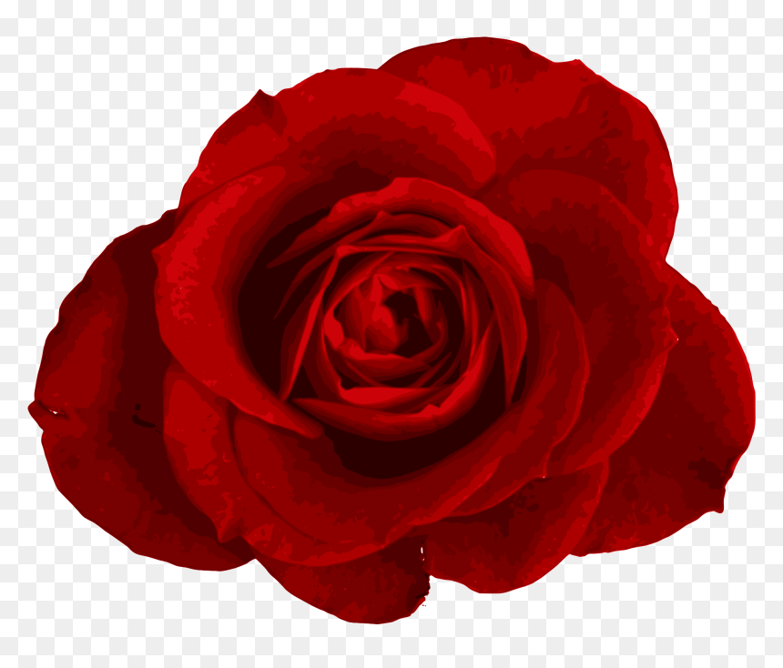 Transparent Background Roses Png, Png Download - rose png