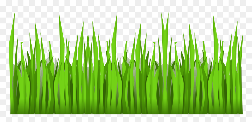 Thumb Image - Grass Clipart Transparent Background, HD Png Download - grass png