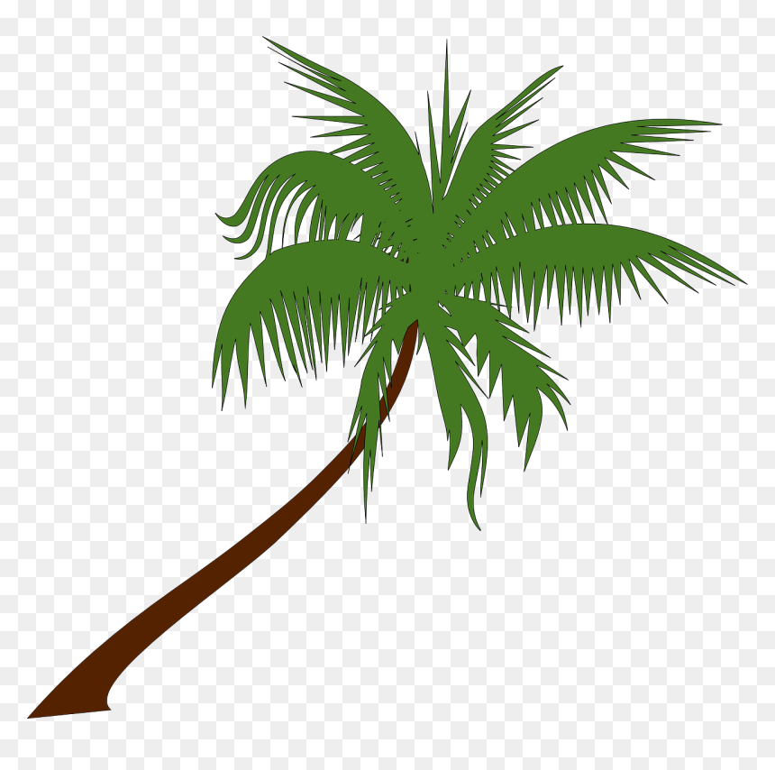 Summer On You Sam Feldt X Lucas, HD Png Download - palm tree png