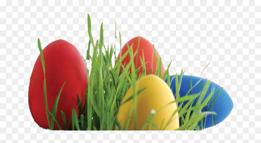 Easter Egg Grass Png Photos - Easter Egg Basket Png, Transparent Png - grass png