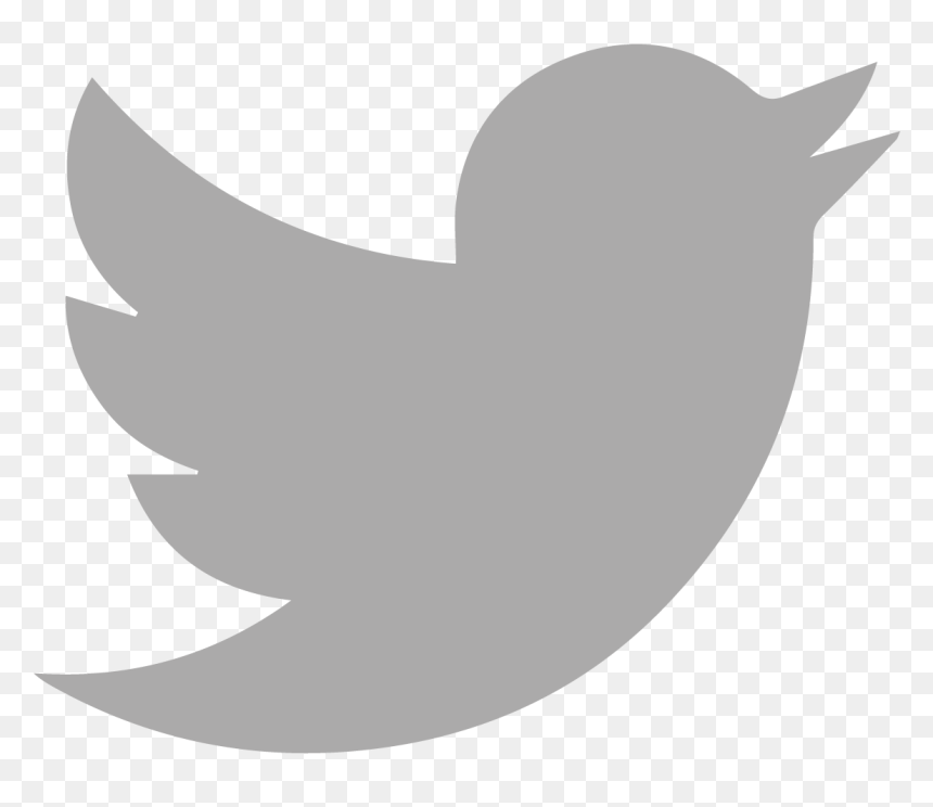 Twitter Icon Png Gray Download - Twitter 2019 Logo Png, Transparent Png - twitter icon png