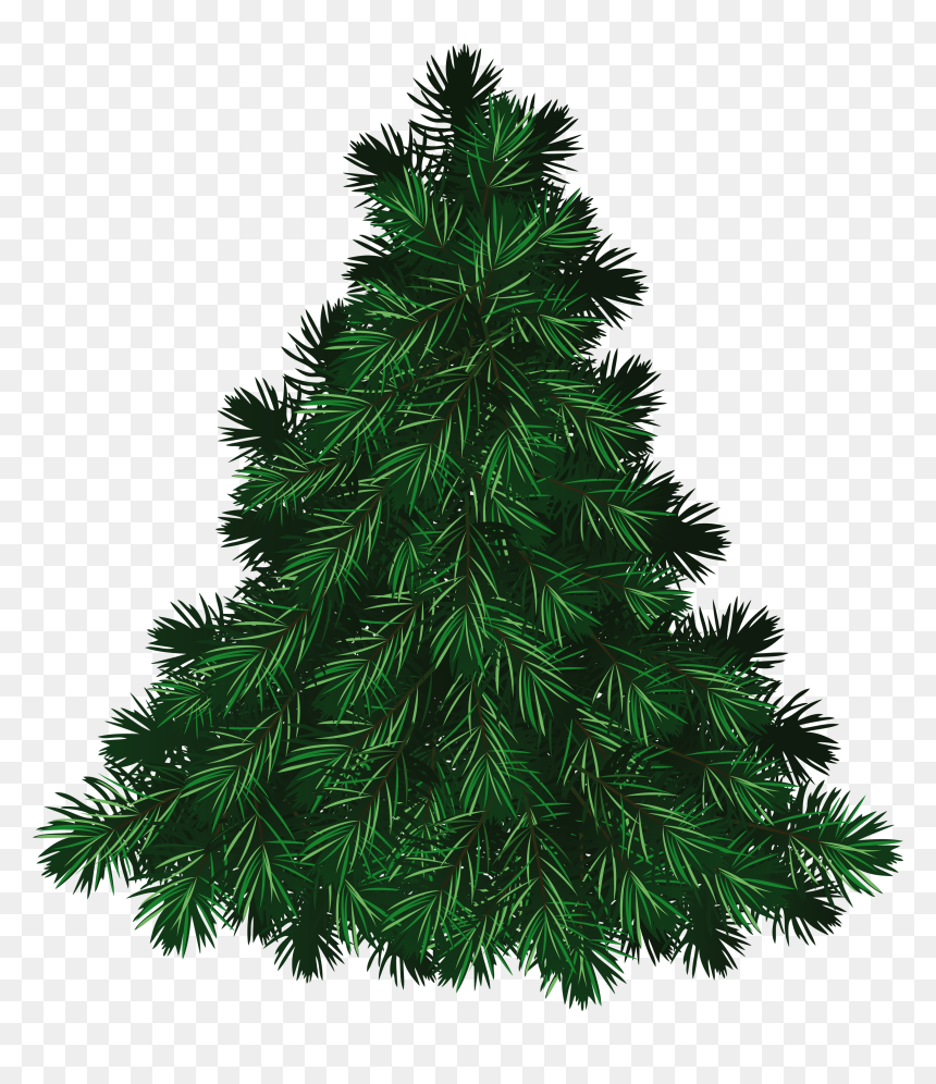 Fir Tree Png Image - Merry Christmas Cap Png, Transparent Png - christmas tree png