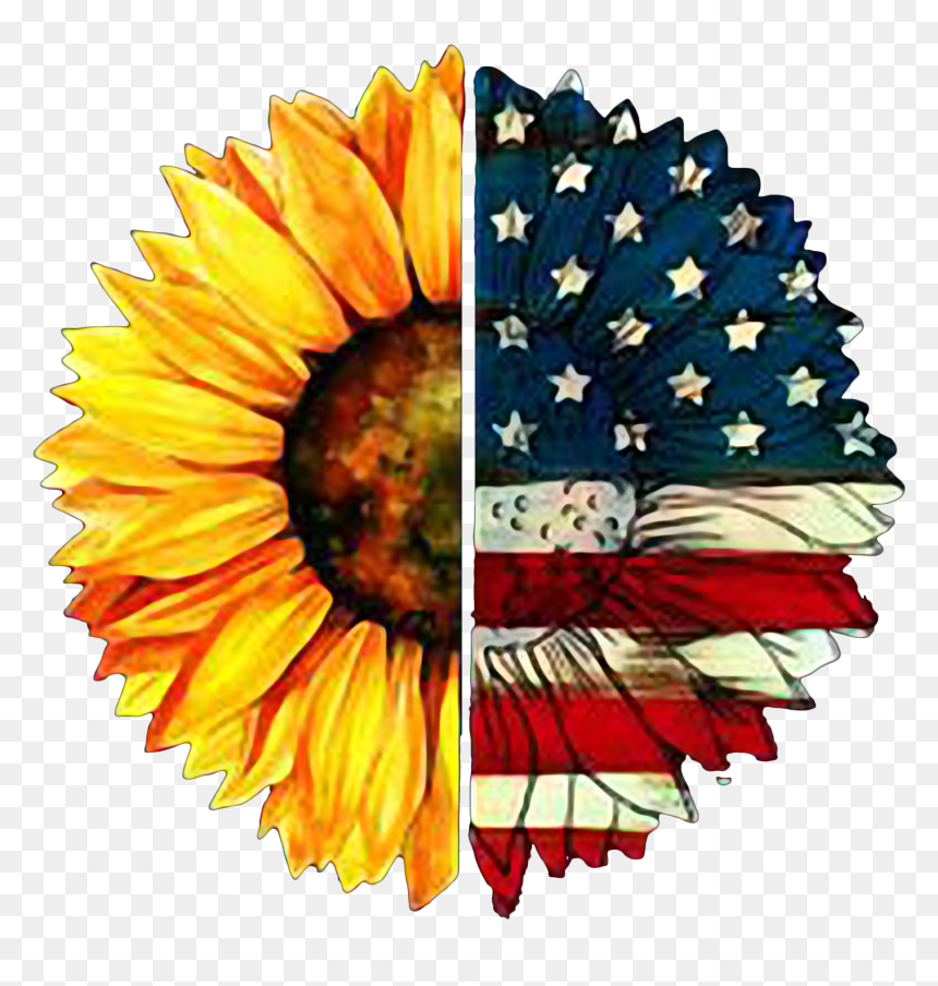 American Flag Png, Transparent Png - american flag png