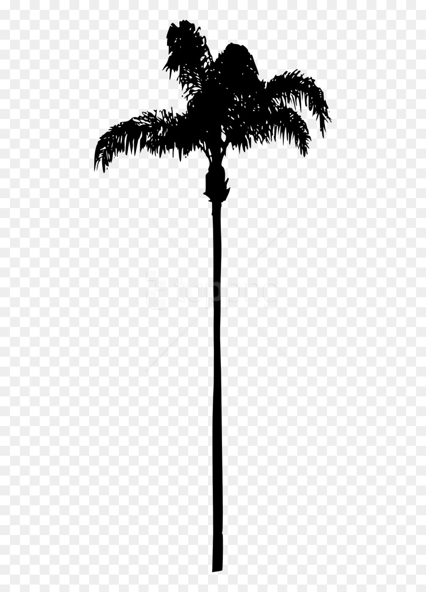Free Png Palm Tree Png - Palm Tree With No Background, Transparent Png - palm tree png