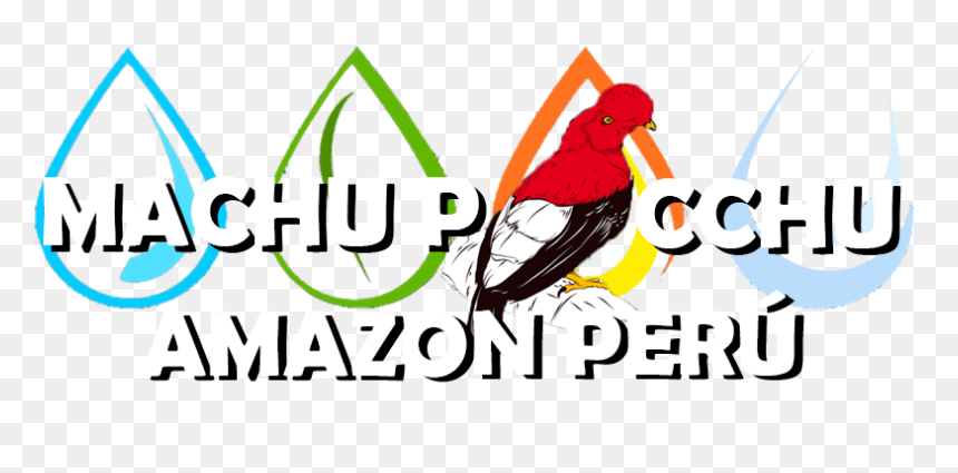 Illustration, HD Png Download - amazon logo png