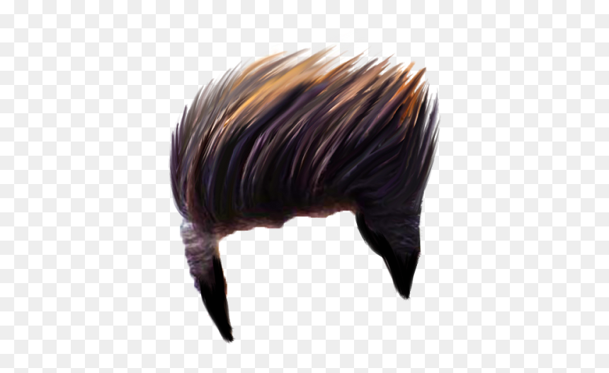 Download Hair Png Photo - Wild Turkey, Transparent Png - hair png
