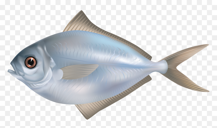 Grey Butter Fish Png Clipart Image - Fish Png, Transparent Png - fish png
