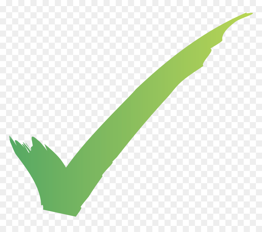 Sanal Ortamda Ulaştığımız Bilgilerin Doğruluk Ve Güvenliğini, HD Png Download - check mark png