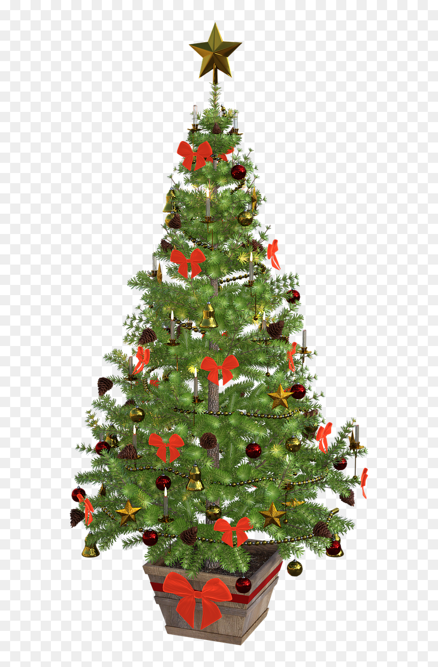 Small Christmas Tree Png, Transparent Png - christmas lights png