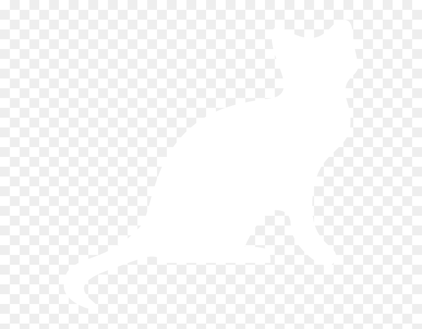 Clipart White Cat Jpg Transparent Small White Cat Clip - Schrodinger's Cat Is Dead Alive, HD Png Download - cat png