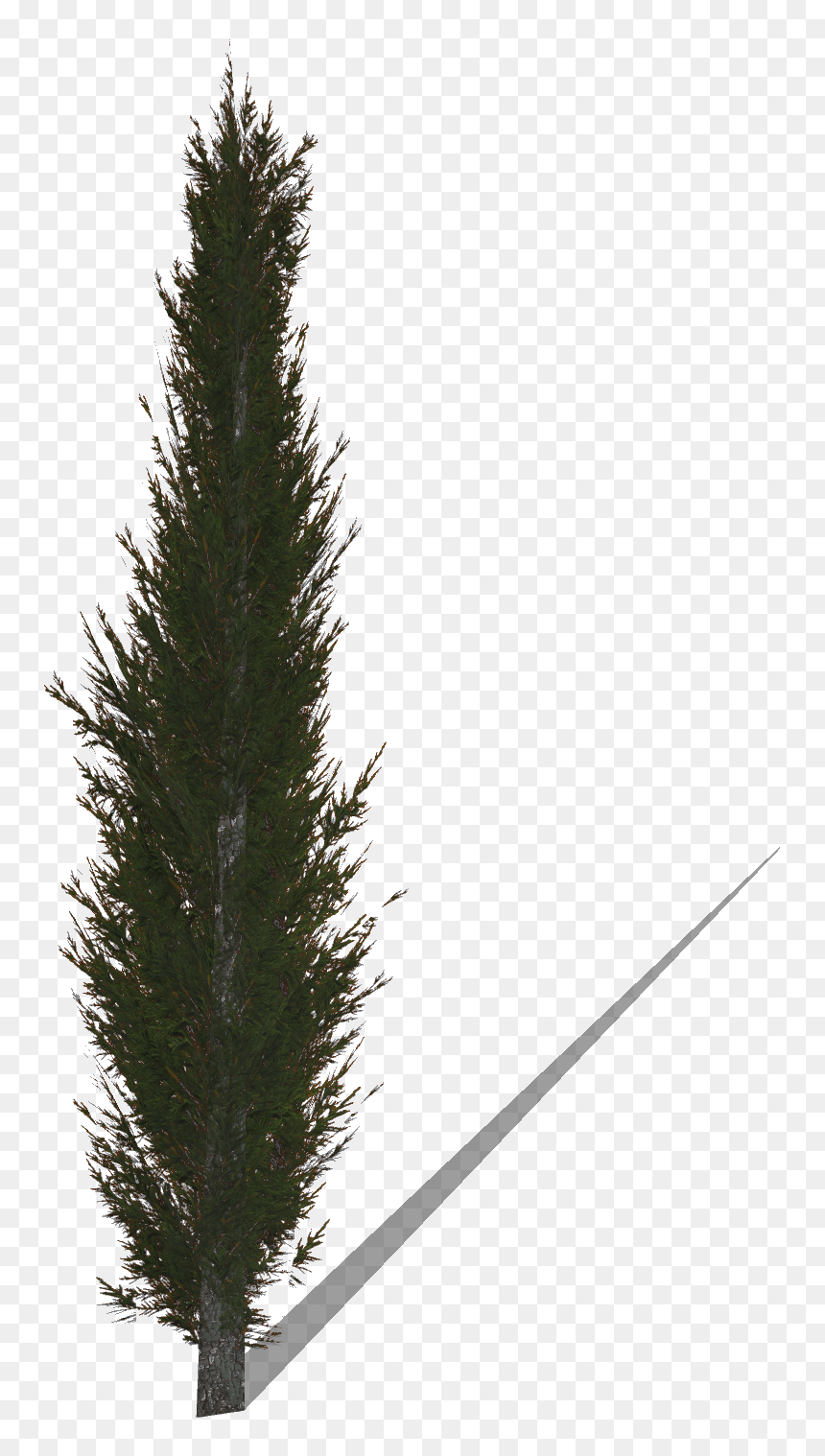 Christmas Tree , Png Download - Cypress Png, Transparent Png - christmas tree png